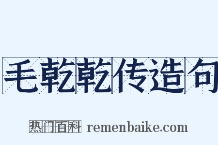 毛乾乾传造句是什么意思的图片